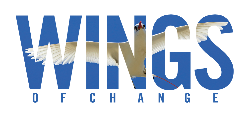 Wingsofchange